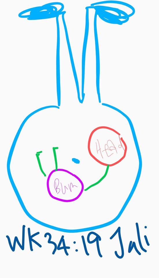 image35